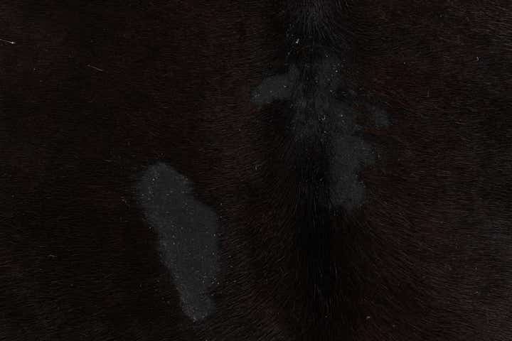 4' 9 x 5' 4 Cowhide Leather Square Rug