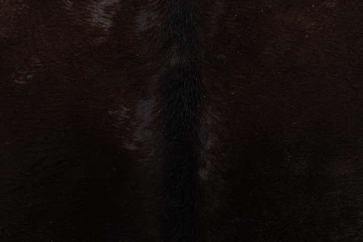 4' 5 x 4' 11 Cowhide Leather Square Rug