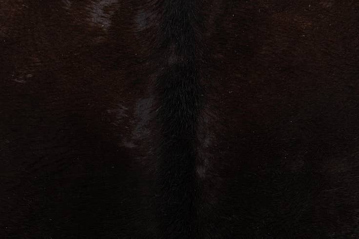 Detail image of 4' 5 x 4' 11 Cowhide Leather Square Rug