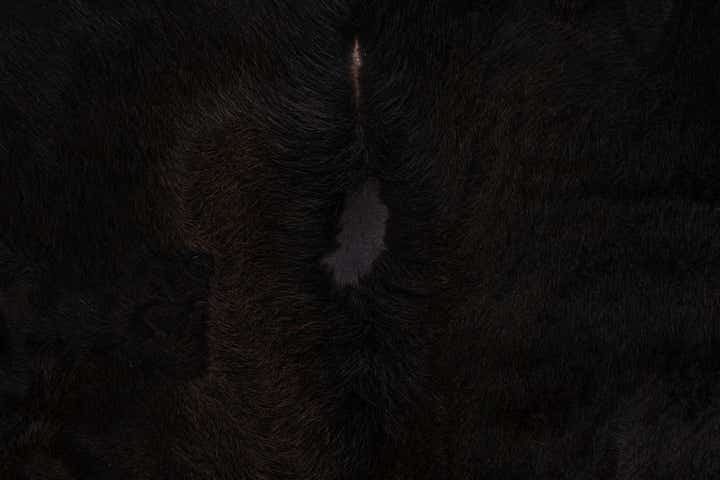 6' 6 x 6' 11 Cowhide Leather Square Rug