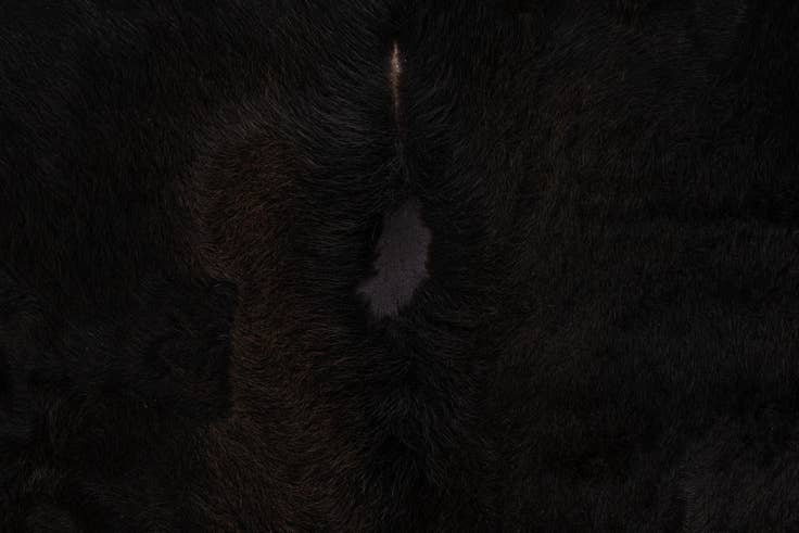 Detail image of 6' 6 x 6' 11 Cowhide Leather Square Rug