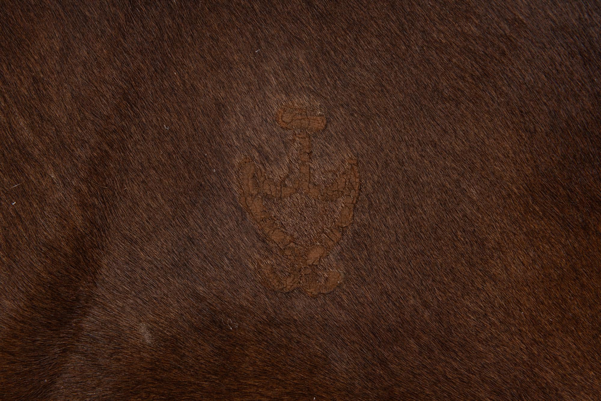 5' x 5' Cowhide Leather Square Rug