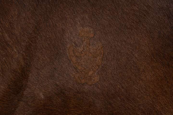 5' x 5' Cowhide Leather Square Rug