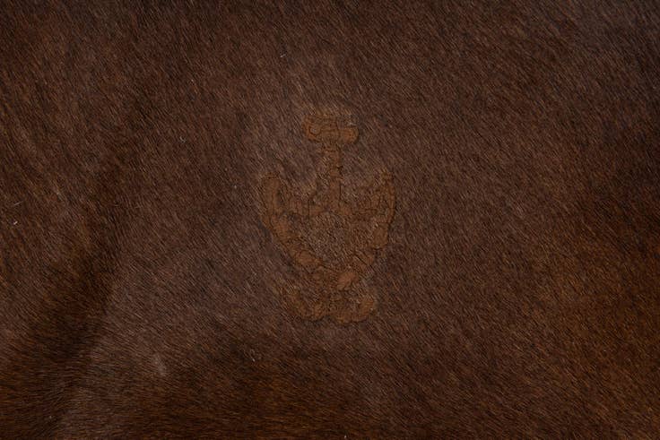 Detail image of 5' x 5' Cowhide Leather Square Rug