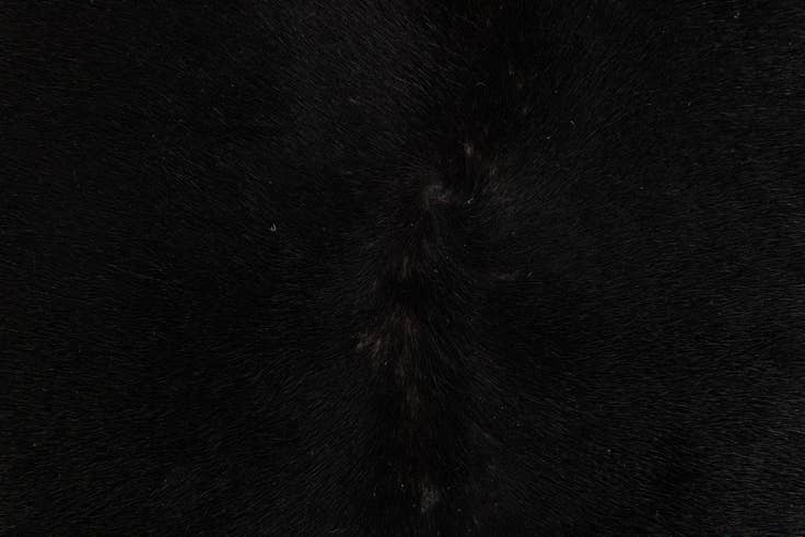 Detail image of 6' 4 x 6' 5 Cowhide Leather Square Rug