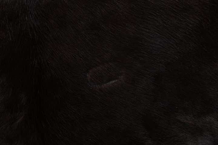 6' 2 x 6' 8 Cowhide Leather Square Rug