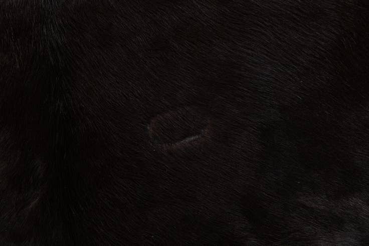 Detail image of 6' 2 x 6' 8 Cowhide Leather Square Rug