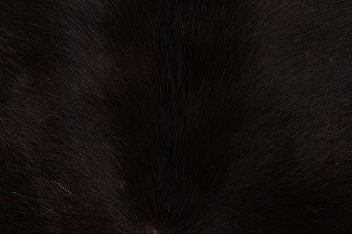 4' 9 x 4' 11 Cowhide Leather Square Rug