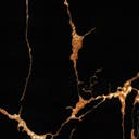 Rug Black and Gold Swatch link