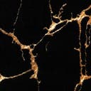 Rug Black and Gold Swatch link