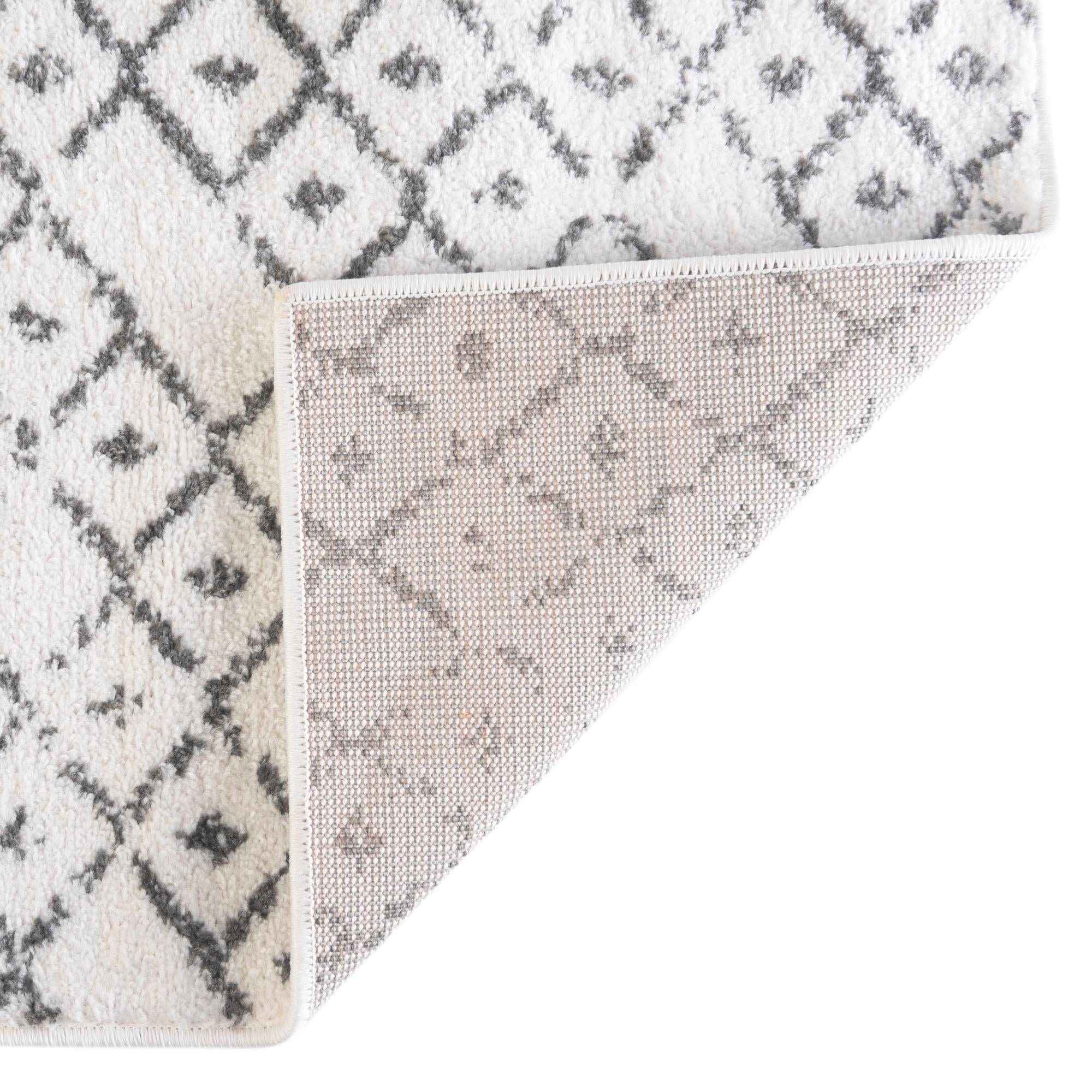 2' x 3' Paxon Trellis Rug