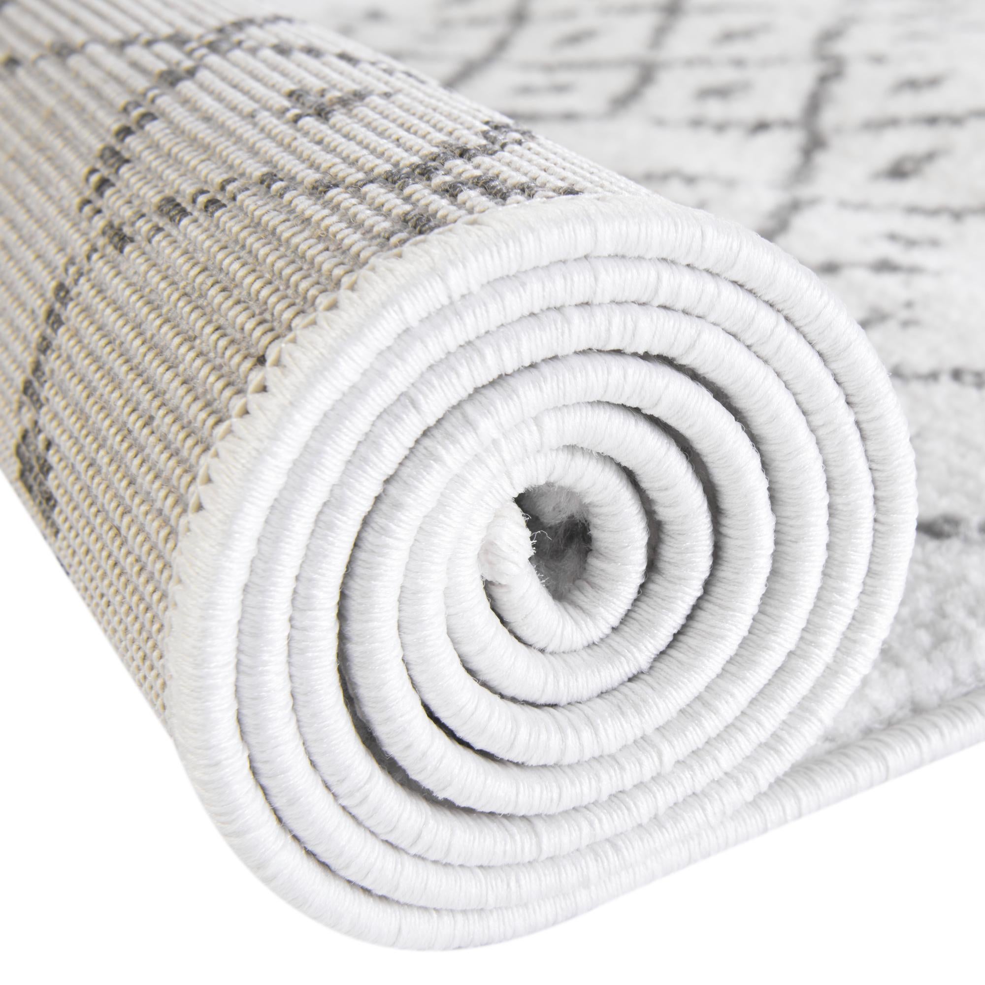 2' x 3' Paxon Trellis Rug