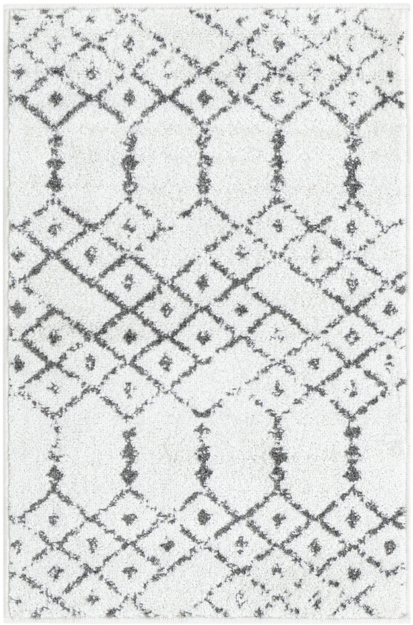 2' x 3' Paxon Trellis Rug