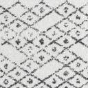 Rug Black and Ivory Swatch link