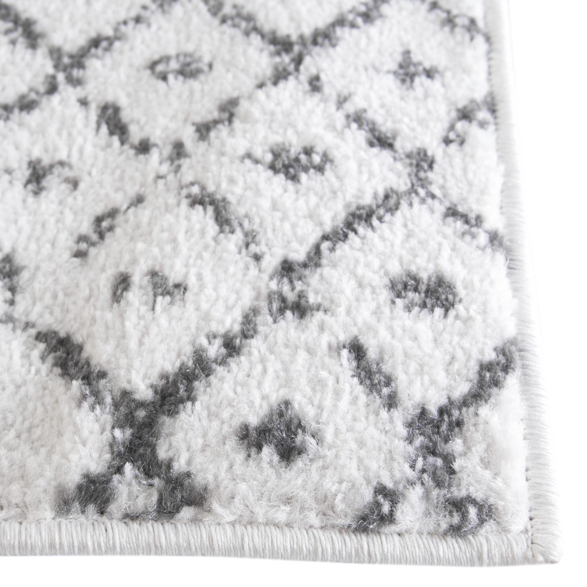 5' 3 x 5' 3 Paxon Trellis Square Rug