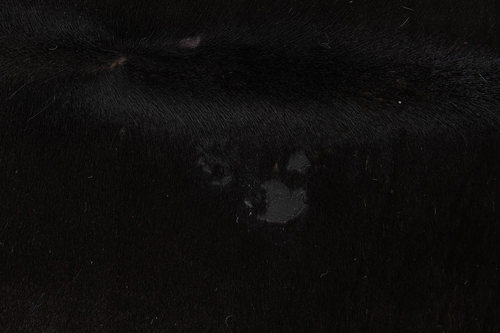 5' x 5' 8 Cowhide Leather Freeform Rug