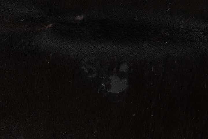 5' x 5' 8 Cowhide Leather Freeform Rug