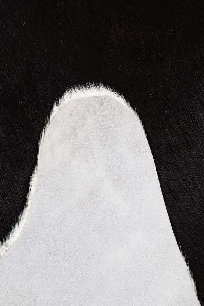 5' x 5' 8 Cowhide Leather Freeform Rug