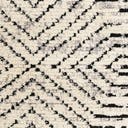 Rug Black and White Swatch link