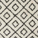 Rug Black and White Swatch link