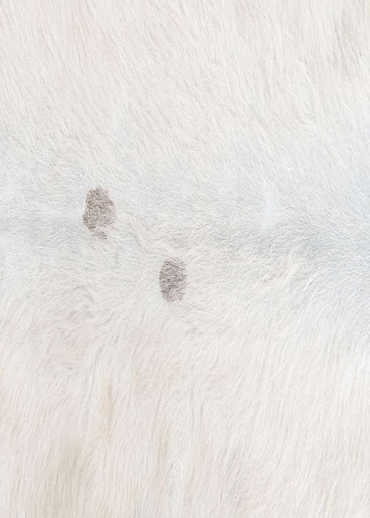 4' 4 x 4' 11 Cowhide Leather Rug