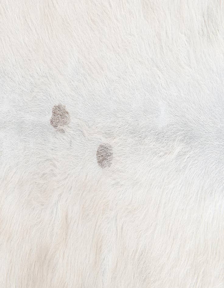 Detail image of 4' 4 x 4' 11 Cowhide Leather Rug