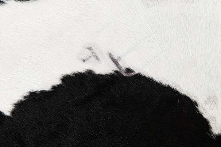 6' 2 x 6' 10 Cowhide Leather Rug