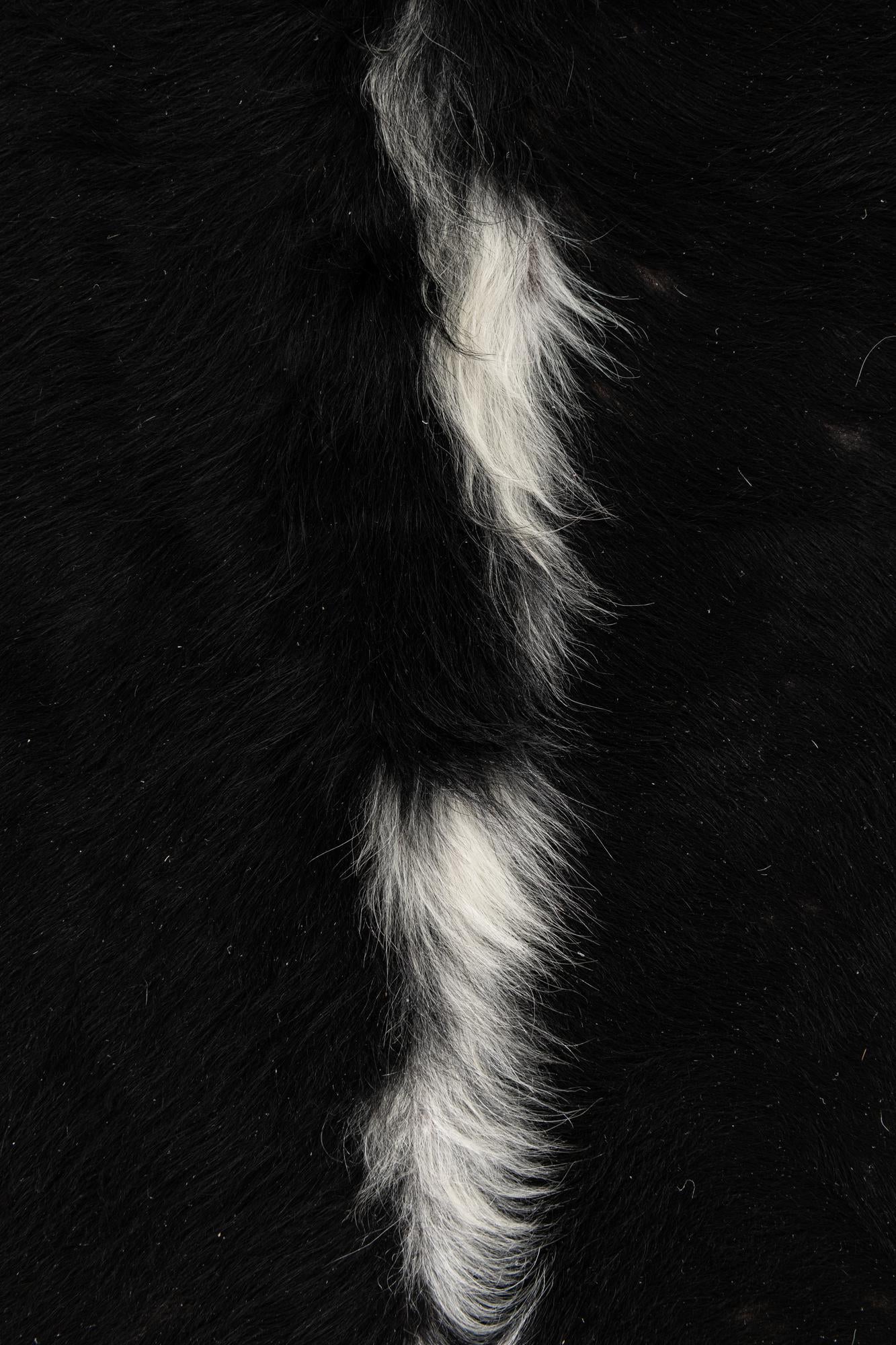 6' 2 x 6' 8 Cowhide Leather Rug