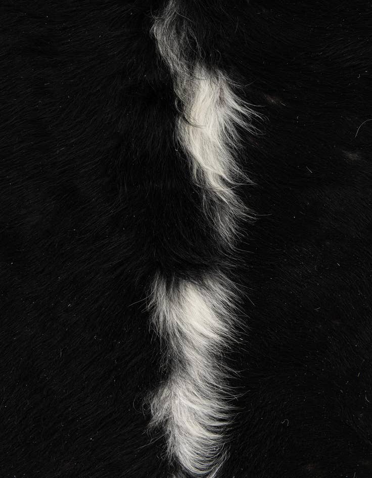 Detail image of 6' 2 x 6' 8 Cowhide Leather Rug