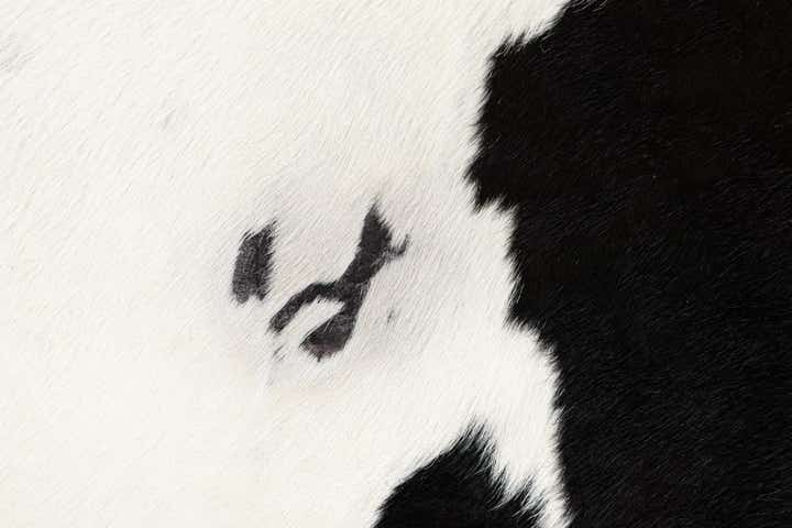 6' 5 x 7' 6 Cowhide Leather Rug