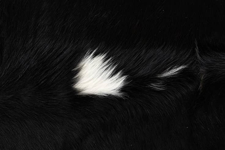 Detail image of 6' 2 x 7' 7 Cowhide Leather Rug