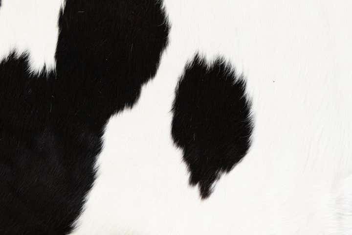 6' 3 x 6' 10 Cowhide Leather Rug