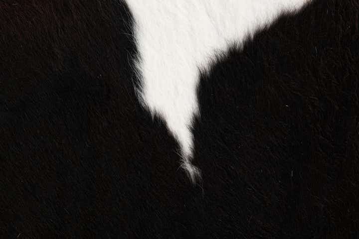 6' 2 x 7' 1 Cowhide Leather Rug