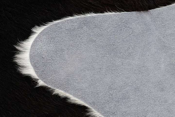 6' 2 x 7' 1 Cowhide Leather Rug
