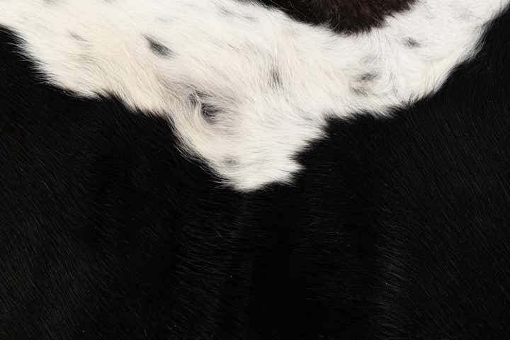 6' 2 x 6' 10 Cowhide Leather Rug