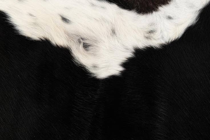Detail image of 6' 2 x 6' 10 Cowhide Leather Rug