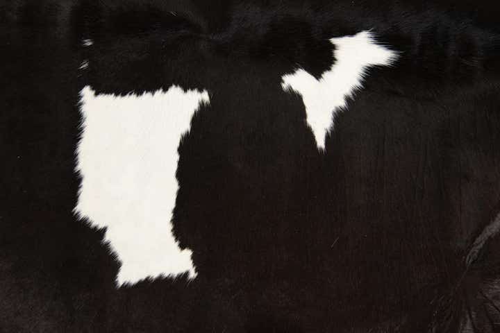 5' 2 x 6' 8 Cowhide Leather Rug