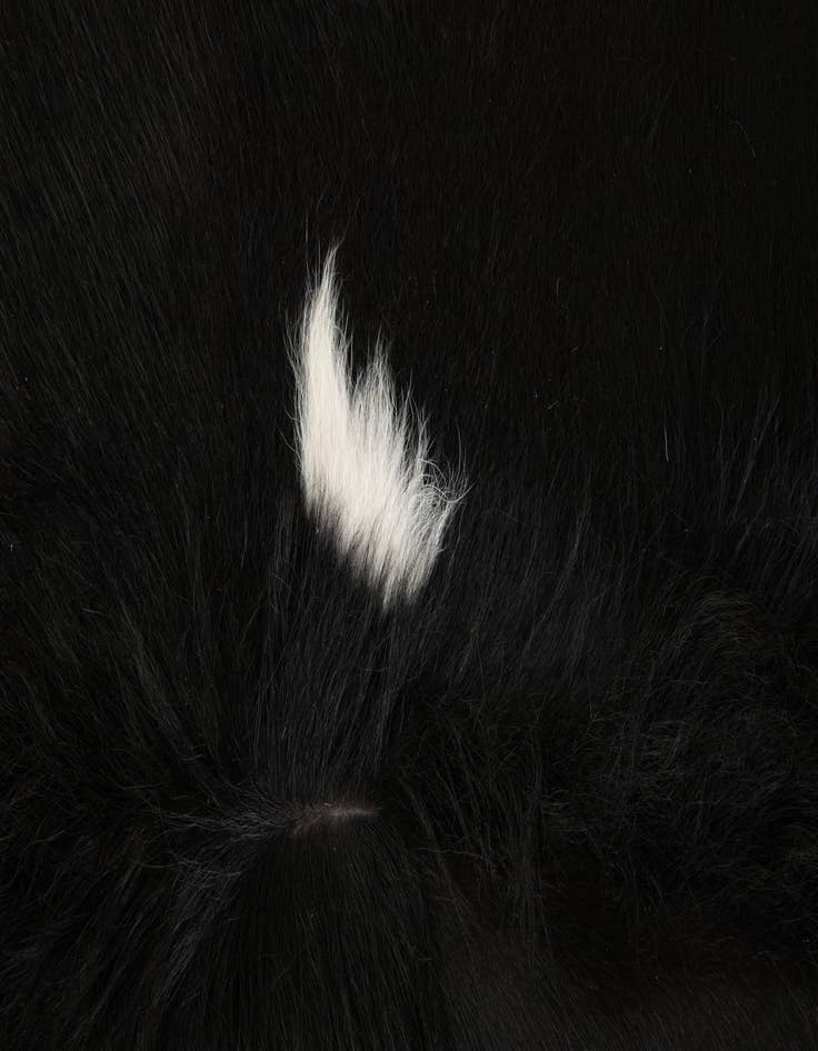 Detail image of 5' 1 x 6' 5 Cowhide Leather Rug