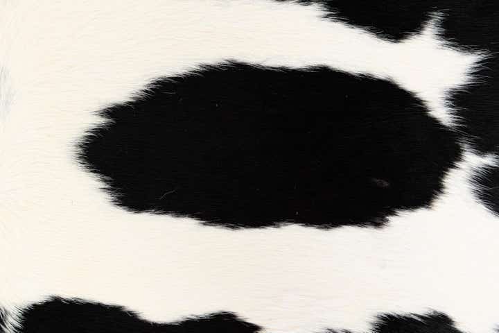 4' 8 x 6' 3 Cowhide Leather Rug