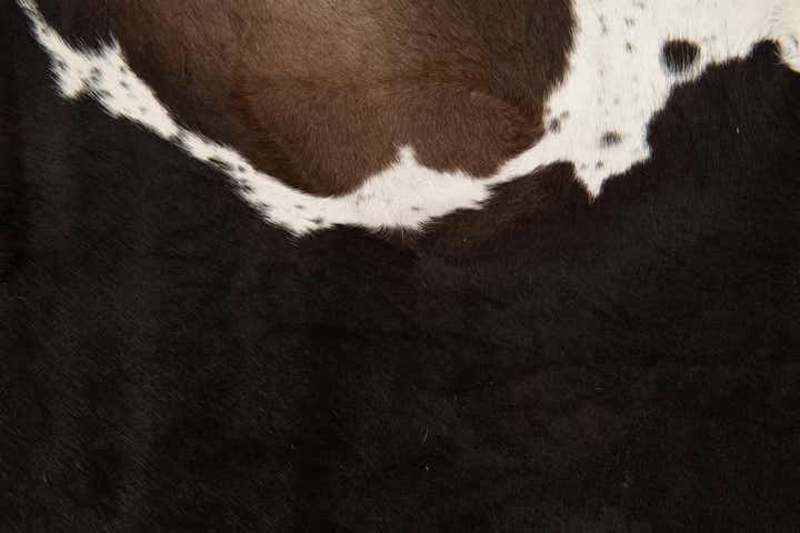 5' 7 x 6' 2 Cowhide Leather Rug