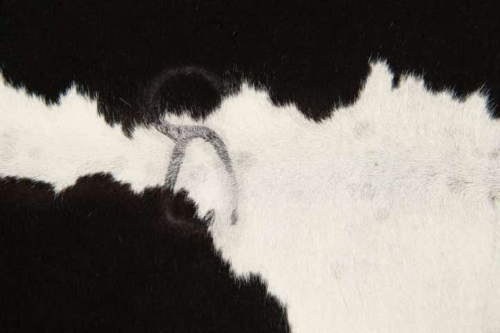4' 1 x 6' 2 Cowhide Leather Rug
