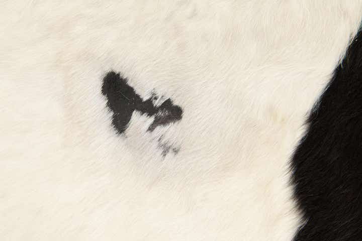 4' 11 x 5' 8 Cowhide Leather Rug