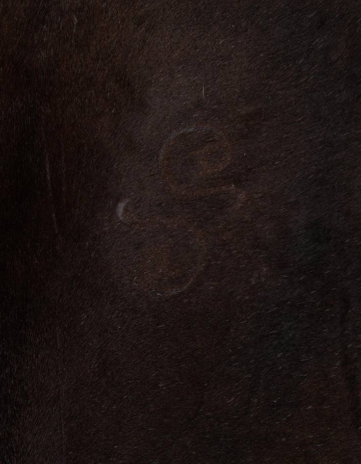 Detail image of 4' 4 x 5' 6 Cowhide Leather Rug