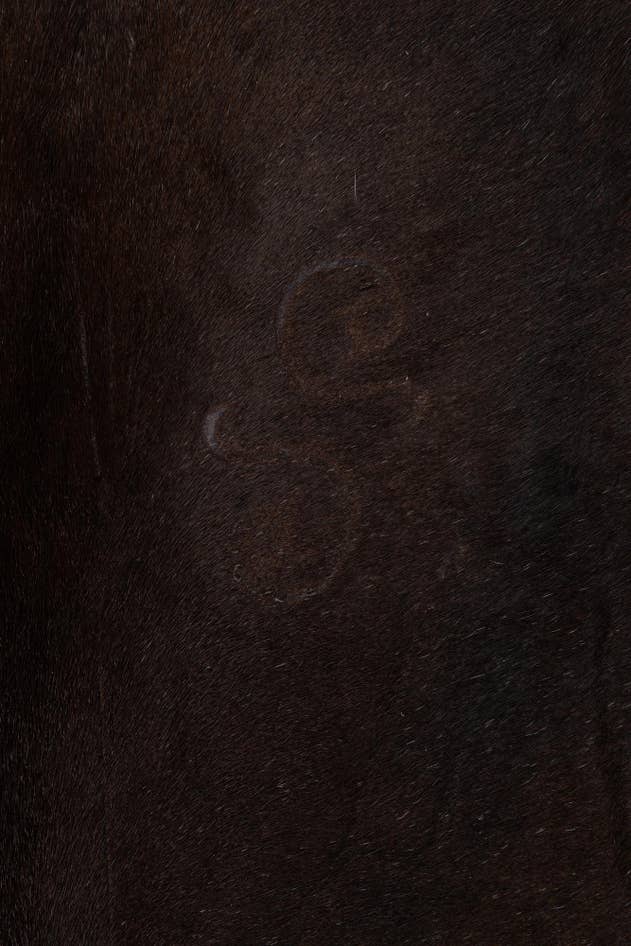 Detail image of 4' 4 x 5' 6 Cowhide Leather Rug