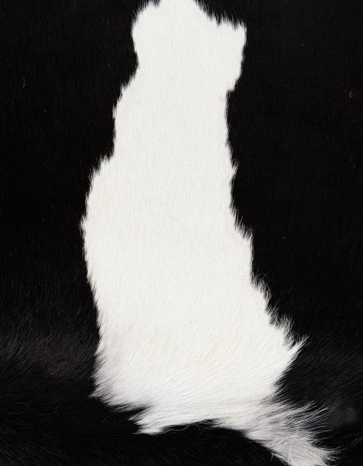 Detail image of 5' 3 x 6' 9 Cowhide Leather Rug