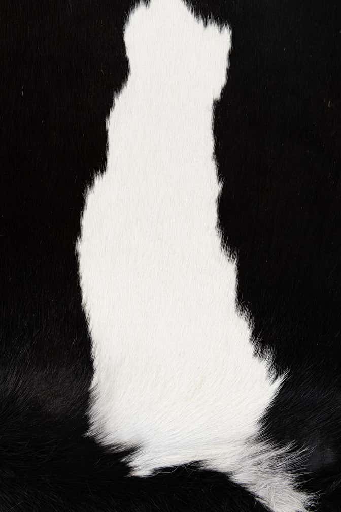 5' 3 x 6' 9 Cowhide Leather Rug