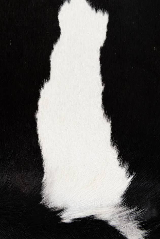 Detail image of 5' 3 x 6' 9 Cowhide Leather Rug