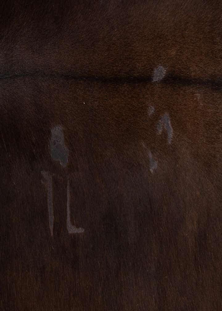 5' 1 x 6' 3 Cowhide Leather Rug