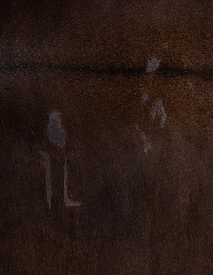 Detail image of 5' 1 x 6' 3 Cowhide Leather Rug