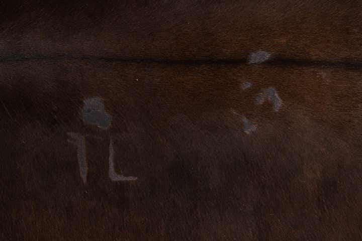 5' 1 x 6' 3 Cowhide Leather Rug